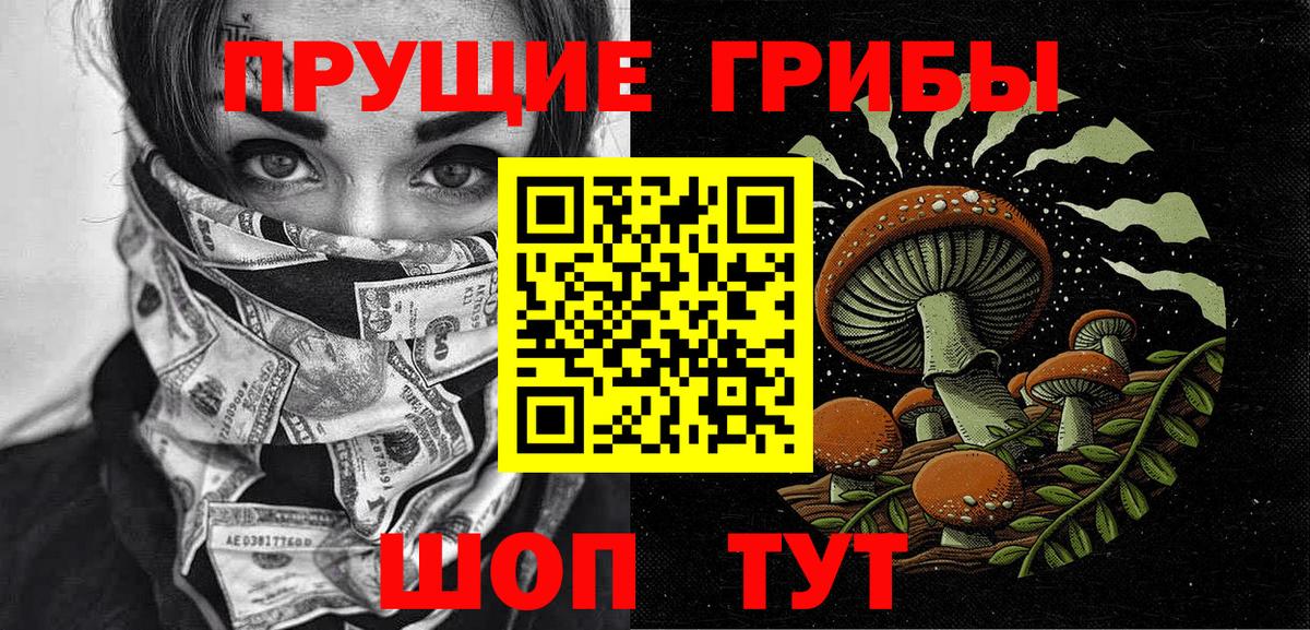 Галлюциногенные грибы Psilocybine cubensis  Вход с VPN  что такое   Гудермес 
